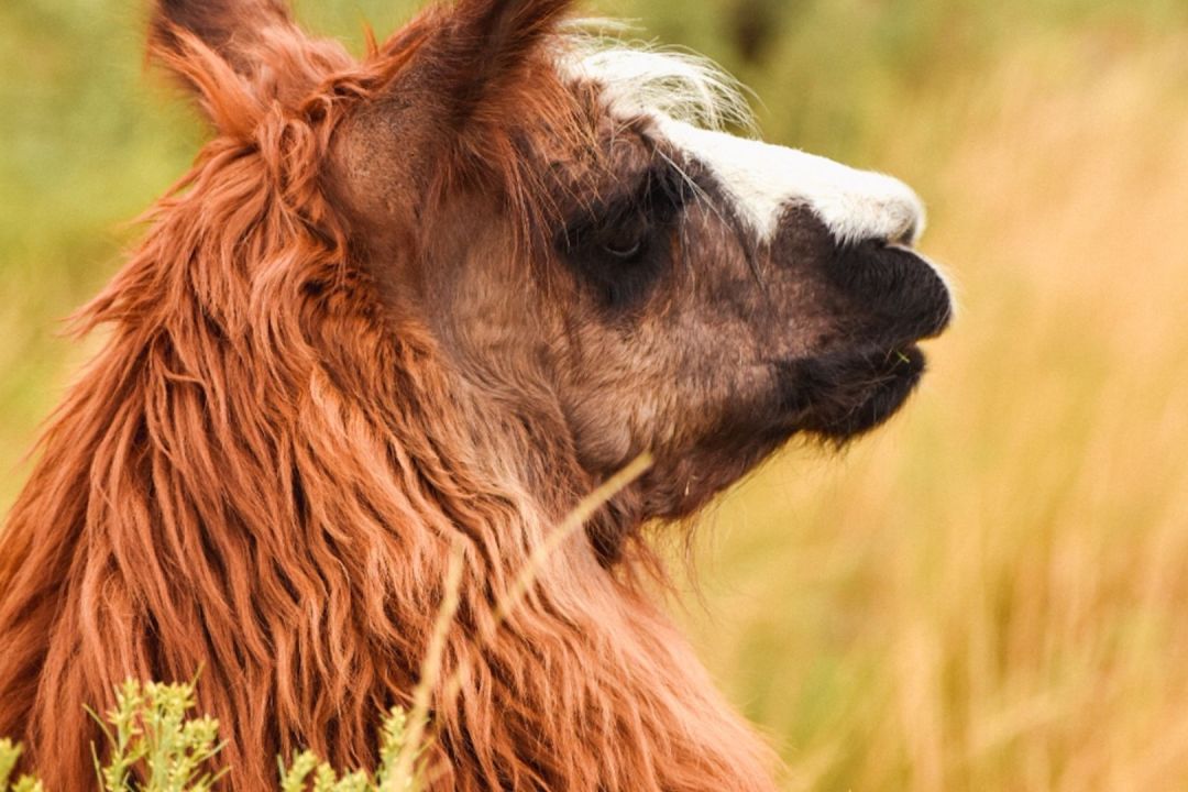 Reserva Natural Mogote Bayo |Visitar San Luis