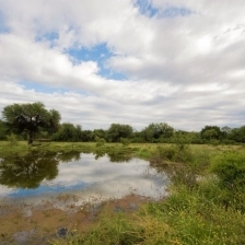 Reserva Privada Punta del Agua, Luján, San Luis
